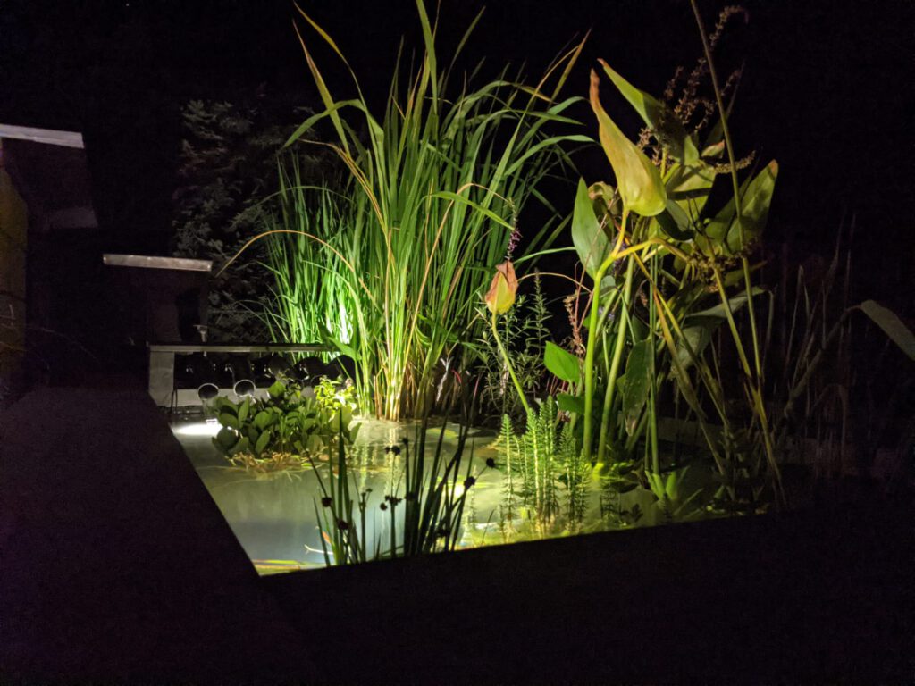 Das aus dem Wasser heraus beleuchtete Pflanzbecken in der Dunkelheit