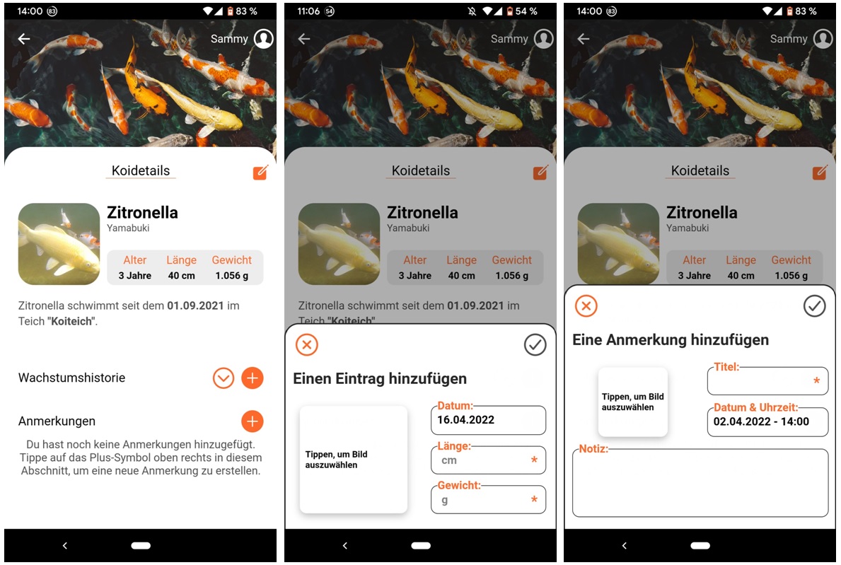 Überwachung von Koi, Futter und Teich mit dem Smartphone Die