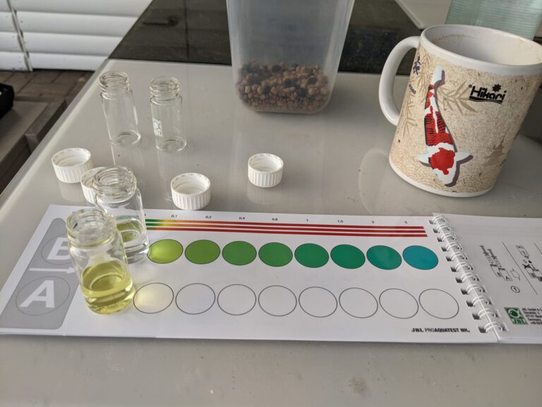 Wasserwerte Teil 1 Ammonium und Ammoniak im Teich koiteichblog