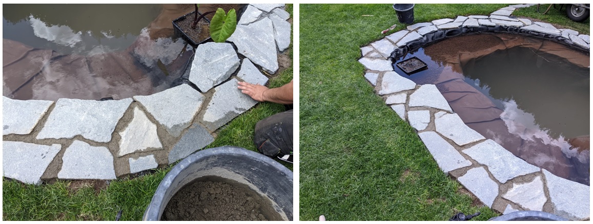 Einen kleinen Teich als Biotop selber bauen Ein Biotop anlegen