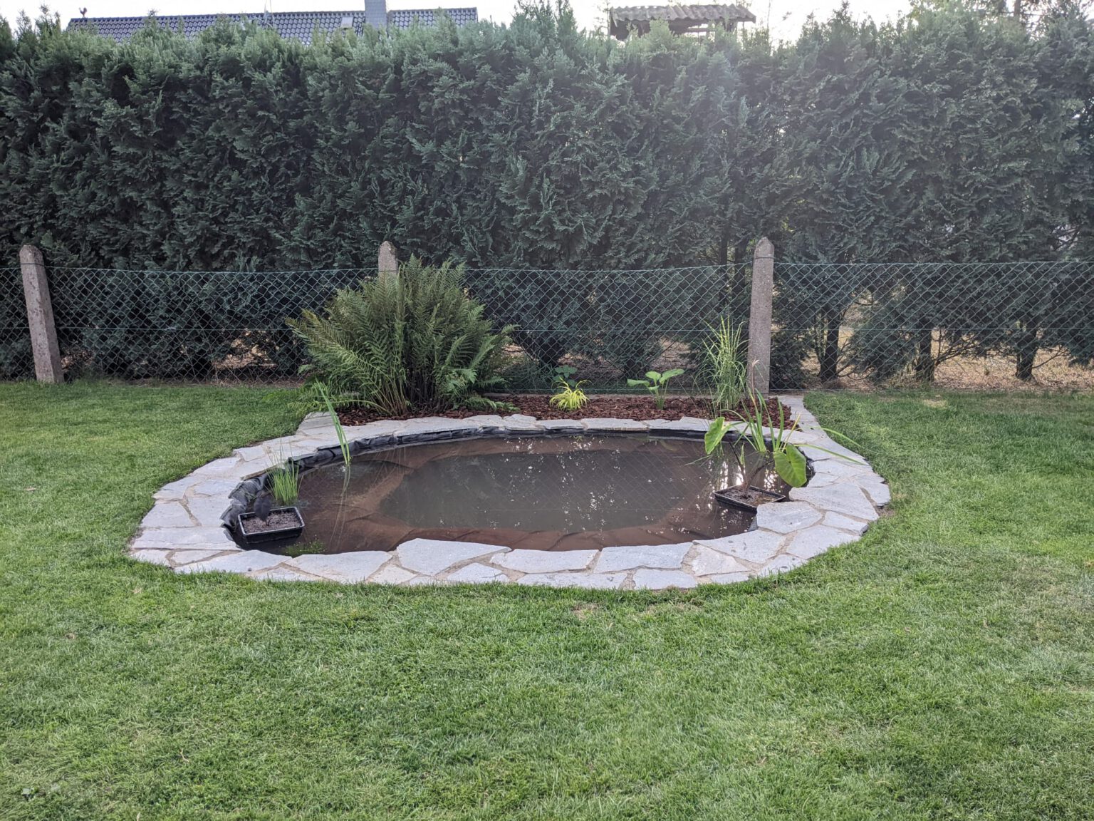 Einen kleinen Teich als Biotop selber bauen Ein Biotop anlegen