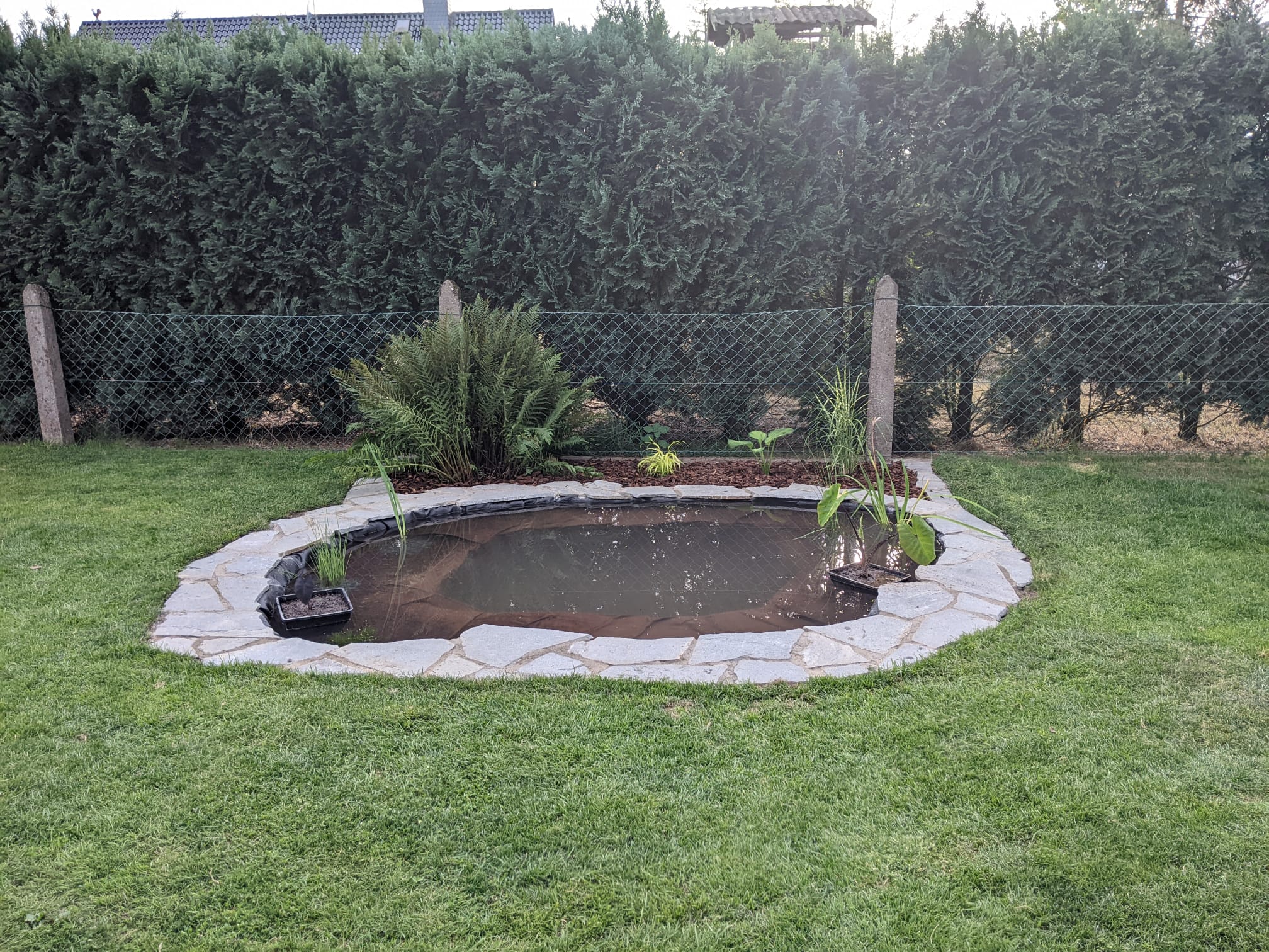 Einen kleinen Teich als Biotop selber bauen Ein Biotop anlegen