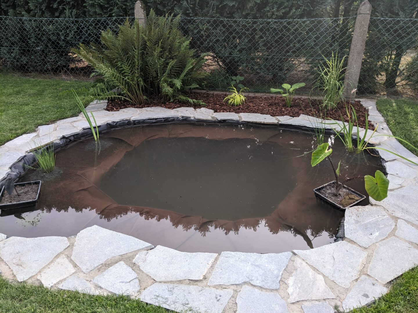 Einen kleinen Teich als Biotop selber bauen Ein Biotop anlegen